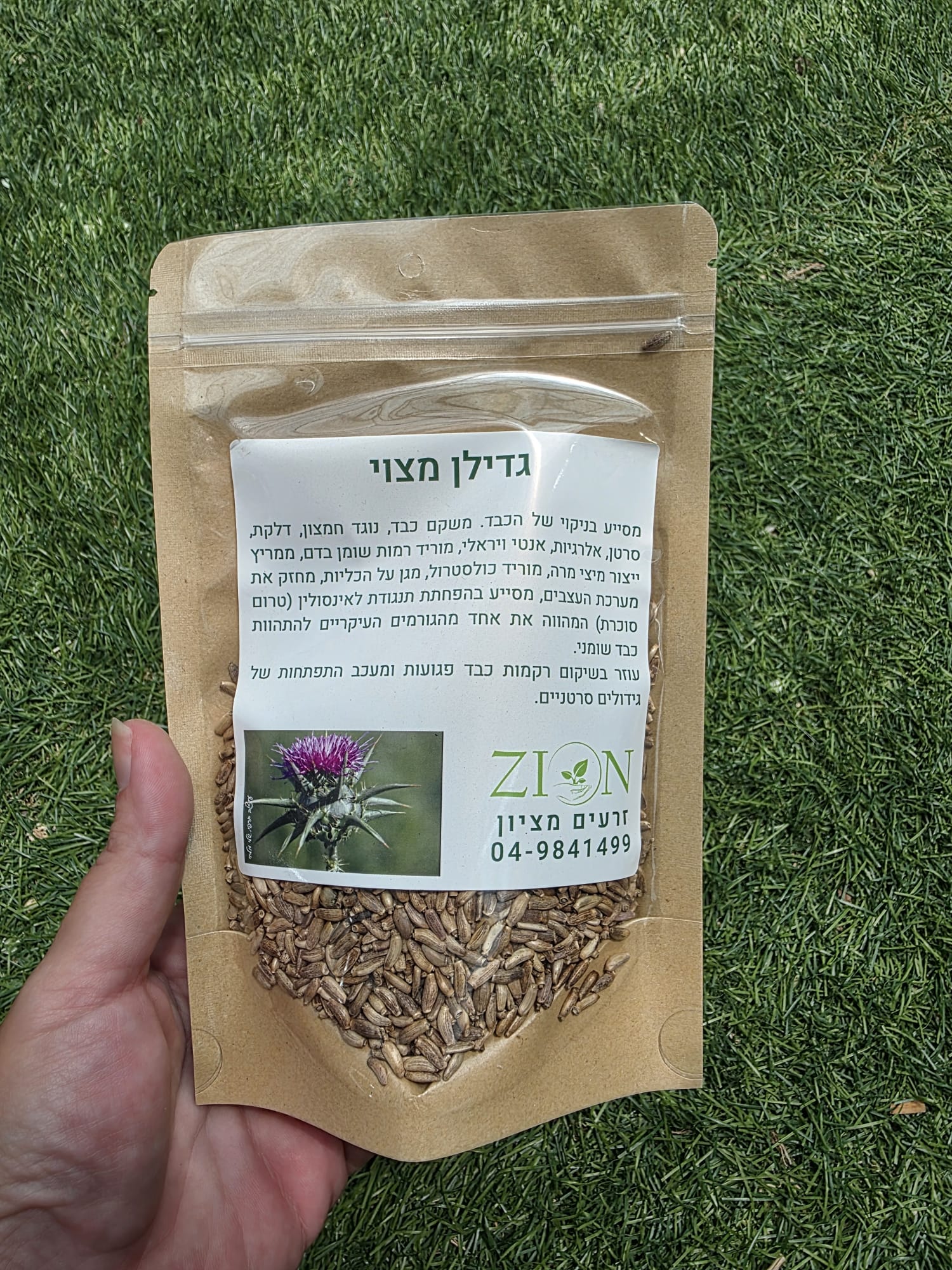 זרעי גדילן מצוי שלמים – Silybum marianum