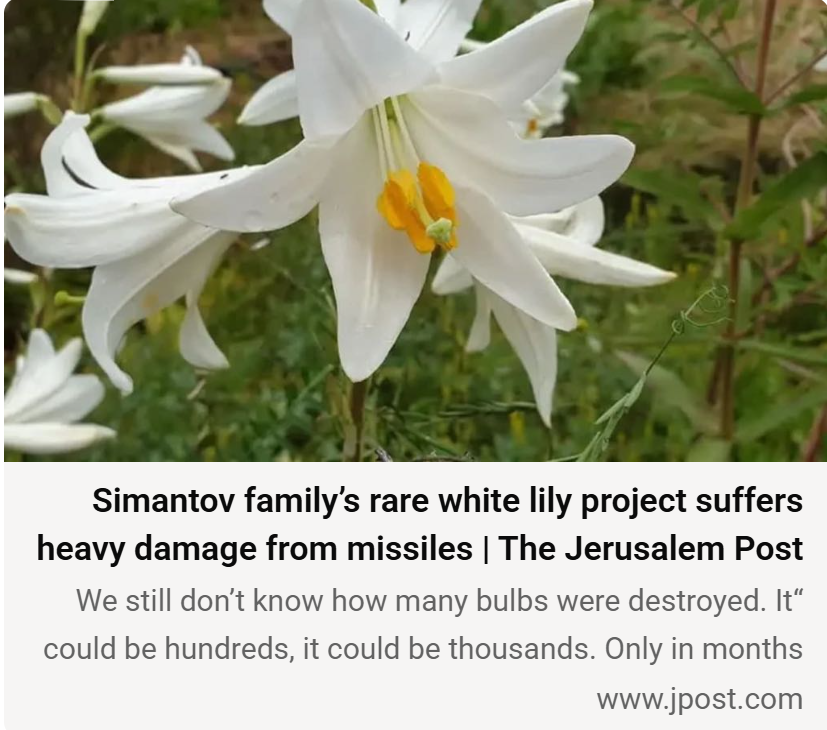 כתבה ב- JERUSALEM POST