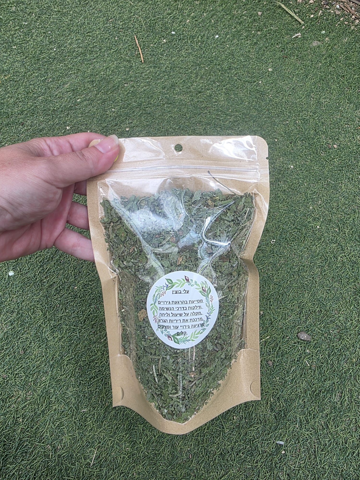 עלי בוצין מפורץ – Verbascum sinuatum
