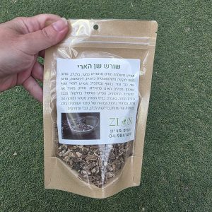 שורש שן הארי – Taraxacum officinale
