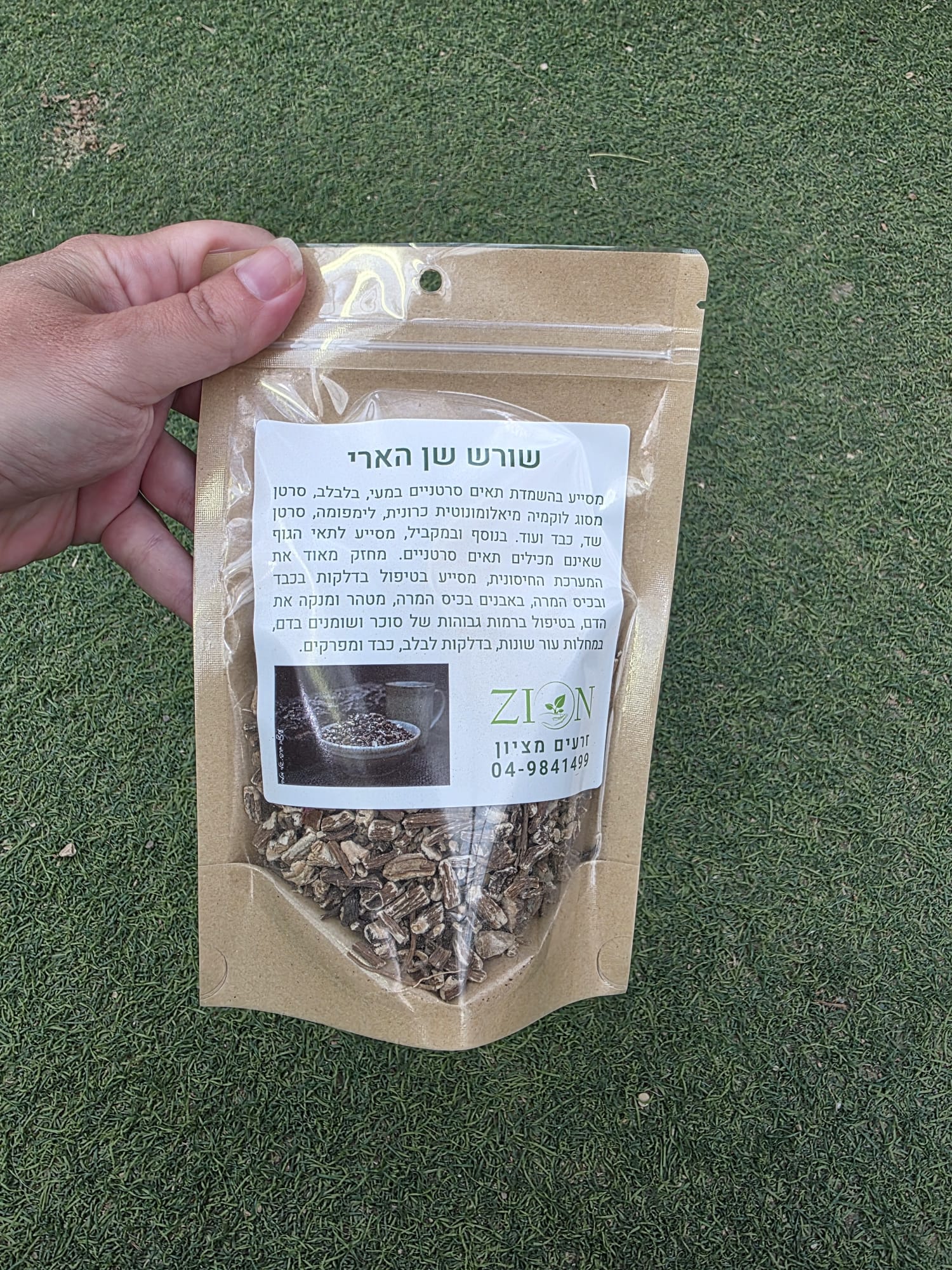 שורש שן הארי – Taraxacum officinale