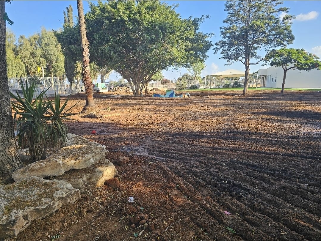 כפר שמריהו לפני אחו טבעי - מחליפים את הדשא הסינטתי המזיק במשטח דשא טבעי - בית ספר גשר בכפר שמריהו