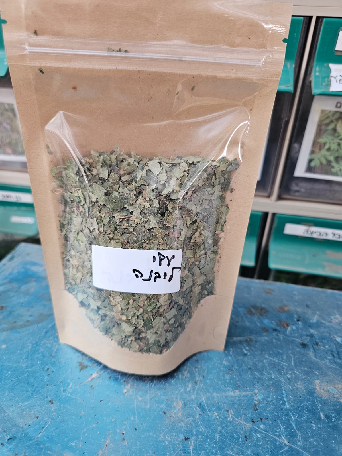 עלי ליבנה – Birch – מובחרים לחליטה ומרפא