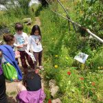 WhatsApp Image 2026-08-07 at 07.28.00