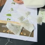 WhatsApp Image 2026-09-11 at 14.00.43 (2)