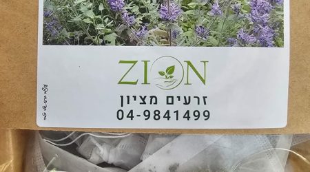 נפית כפופה- עלים יבשים ארוזים בתיונים אישיים / Nepeta curviflora