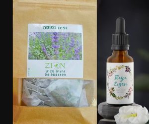מארז קשובית/ Maaraz kashuvit