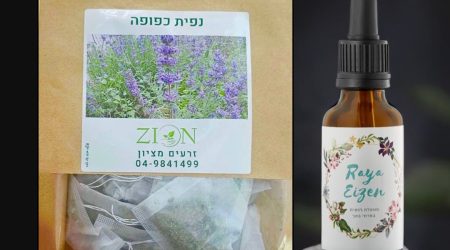 מארז קשובית/ Maaraz kashuvit