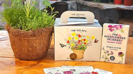 מארז פרחי בר -עציץ ומשחק זיכרון / Israeli wildflowers box – flower pot and memory game