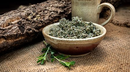 עלי געדה מצויה לחליטה / Teucrium capitatum