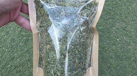 עלי אורגנו איכותיים לחליטה ומרפא – Oregano