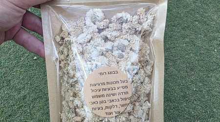 פרחי בבונג רומי שלמים ומיובשים (קמומיל) – קחוון – Chamaemelum nobile