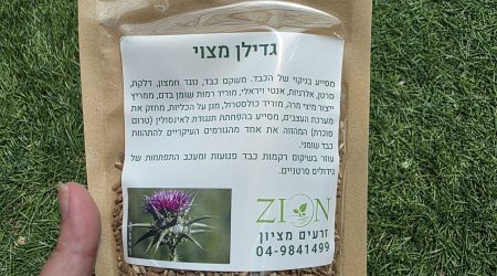 זרעי גדילן מצוי שלמים – Silybum marianum
