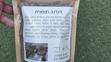 דנדנה רפואית מיובשת – Asplenium ceterach