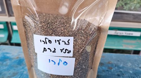 זרעי סלרי מובחרים (150 גרם)