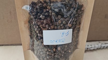 שקית זרעי פפאיה נדירים – לגידול ומרפא עוצמתי