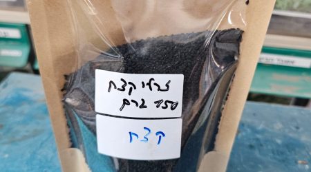 זרעי קצח מובחרים (150 גרם)