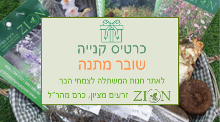 שובר מתנה לקניה ב-200 ש"ח