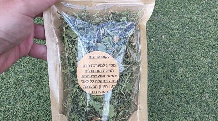 ילקוט הרועים מיובש – Capsella bursa-pastoris