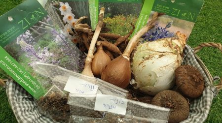 מארז גינת בר – אזור דרום / wild garden South