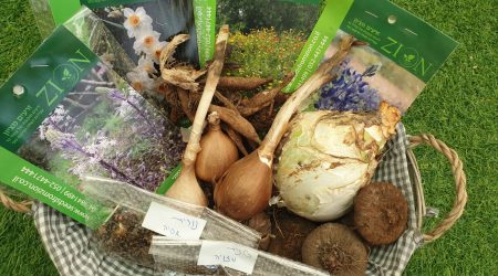 מארז גינת בר – אזור צפון / wild garden north