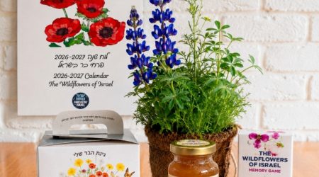 מארז "שנה של פריחה" – מארז חג אקולוגי עם פרחי בר ודבש