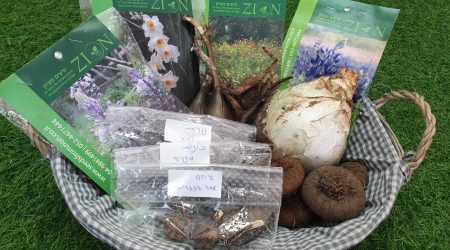 מארז גינת בר – אזור ירושלים והמרכז / Wild Garden Jerusalem