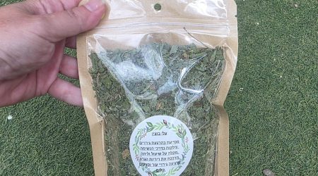 עלי בוצין מפורץ – Verbascum sinuatum