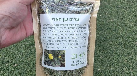 שן הארי עלים לחליטת מרפא / Dandelion