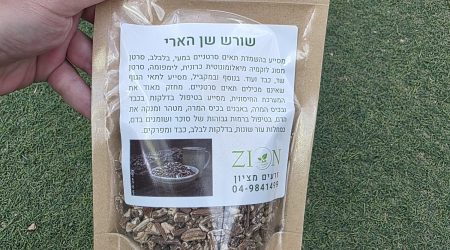 שורש שן הארי – Taraxacum officinale